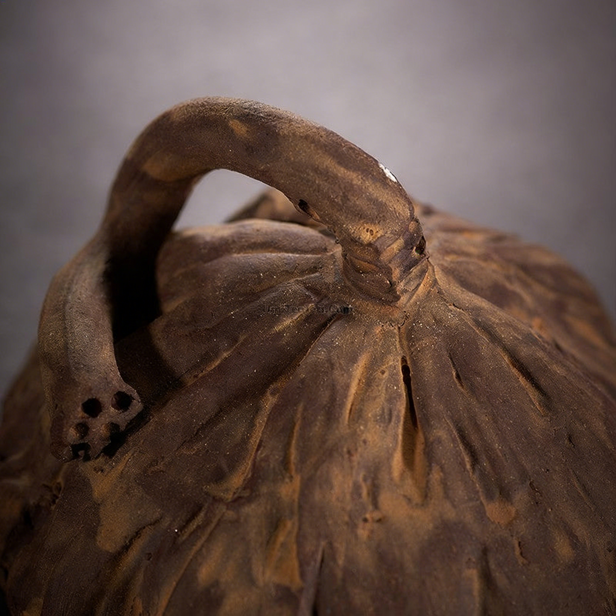 Handmade Purple Clay Lotus Seedpod Tea Pet