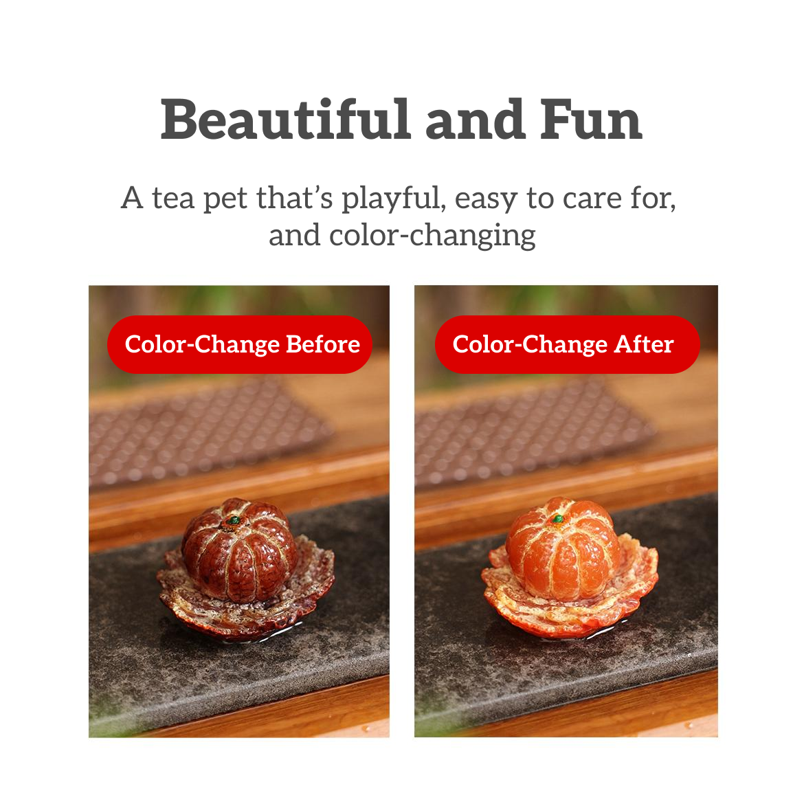 Color-Changing Orange Tea Pet
