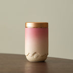 Gradient Ceramic Portable Four Tea Caddies Set