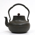 Japanese Tetsubin Cast Iron Teapot