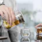 Double Wall Glass Travel Tea Set With Bag