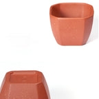 Five Clors and Shapes Yixing Tea Cups With Gift Box (Set of 5)