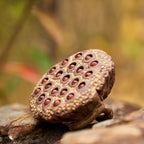 Handmade Purple Clay Lotus Seedpod Tea Pet