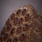 Handmade Purple Clay Lotus Seedpod Tea Pet