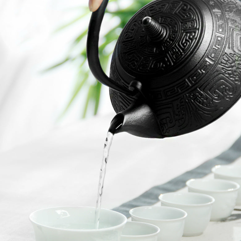 Japanese Southern Gongfu Cast Iron Teapot