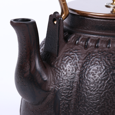 Japanese Pumpkin Cast Iron Teapot