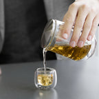 Double Wall Glass Travel Tea Set With Bag